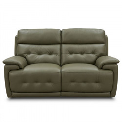 Melbourne 2 Seater Electric Leather Olive